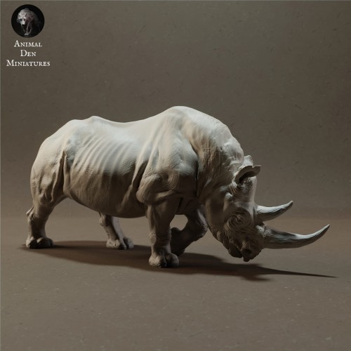 black-rhino-2.jpg