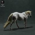 35130281_camargue-horse-2.jpg