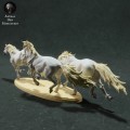 35130283_camargue-horses-running-4.jpg