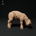 35130326_cornwall-longwool-lamb-grazing-1.jpg