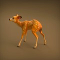 35130420_resize-baby-deer-6.jpg