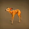 35130420_resize-baby-deer-7.jpg