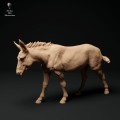 35130334_donkey-1.jpg