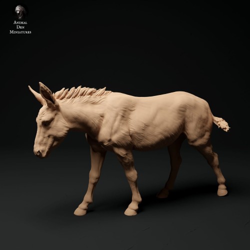 35130334_donkey-1.jpg