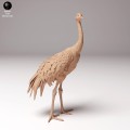 35130533_crane_3.jpg