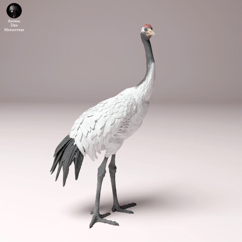 35130533_crane_4.jpg