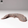 35130294_japanese_giant_salamander_4.jpg