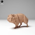 tanuki_3.jpg