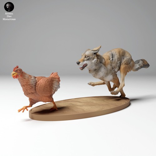coyote_chicken_4.jpg