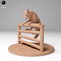 coyote_fence_1.jpg