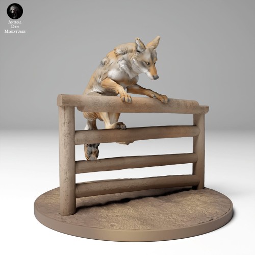 coyote_fence_4.jpg