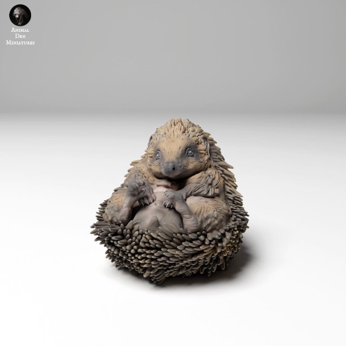 hedgehog_4.jpg