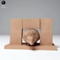 hedgehog_wood_3.jpg