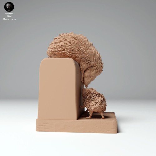 hedgehog_and_baby_1.jpg