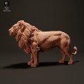 lion-1.jpg