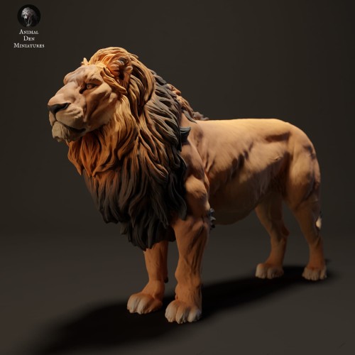 lion-3.jpg