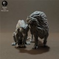 lions-cuddle-5.jpg