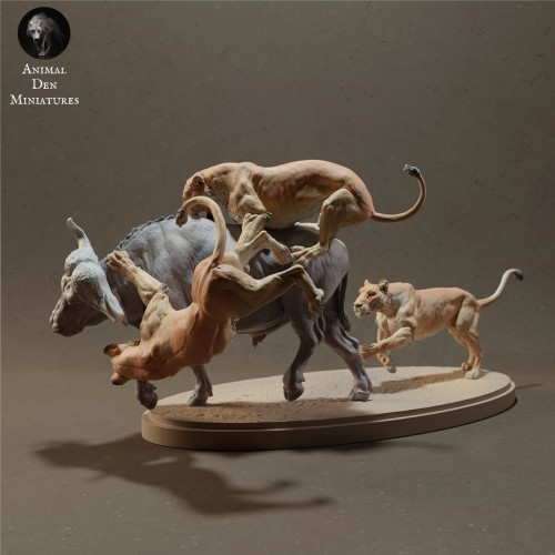 lionesses-hunt-1.jpg