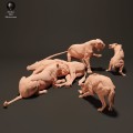 lionesses-vs-hyenas-2.jpg