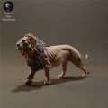 lion-1.jpg