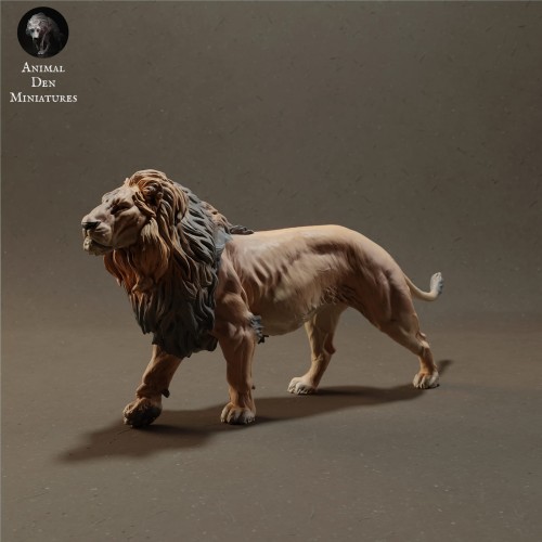 lion-1.jpg