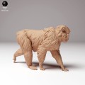 35130289_snow_monkey_1.jpg