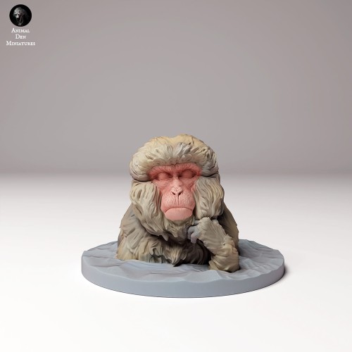 35130290_snow_monkey_bath_4.jpg