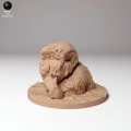 35130290_snow_monkey_bath_1.jpg