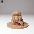 35130290_snow_monkey_bath_3.jpg