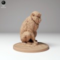 35130293_snow_monkey_sitting_2.jpg