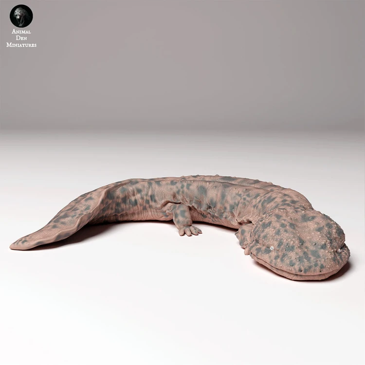 35130294_japanese_giant_salamander_4.jpg