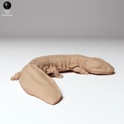 35130294_japanese_giant_salamander_2.jpg