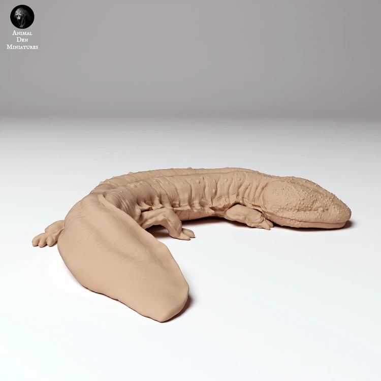 35130294_japanese_giant_salamander_2.jpg