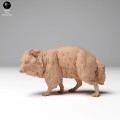 tanuki_2.jpg
