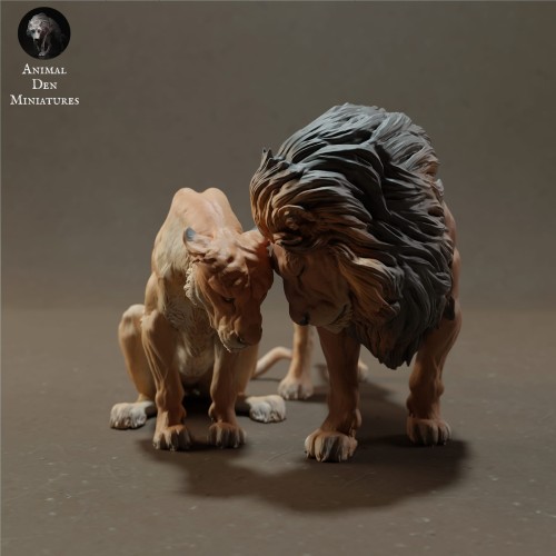 lions-cuddle-1.jpg