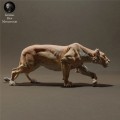 lioness-sneaking-3.jpg