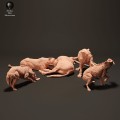 lionesses-vs-hyenas-1.jpg