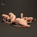 lionesses-vs-hyenas-3.jpg