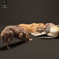 lionesses-vs-hyenas-4.jpg