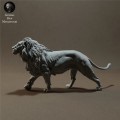 lion-4.jpg
