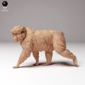 35130289_snow_monkey_2.jpg