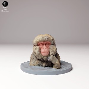Makak japoński - kąpiel - 1 sztuka - 1:72
