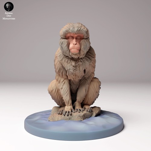 35130293_snow_monkey_sitting_4.jpg