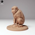 35130293_snow_monkey_sitting_1.jpg