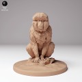35130293_snow_monkey_sitting_3.jpg