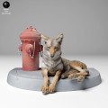 coyote_lying_4.jpg