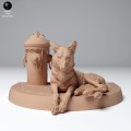 coyote_lying_3.jpg
