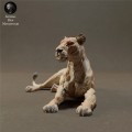 lioness-lying-2.jpg
