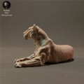 lioness-lying-4.jpg