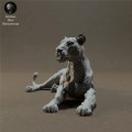 lioness-lying-5.jpg